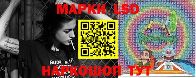 индика Аргун