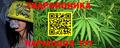 индика Аргун
