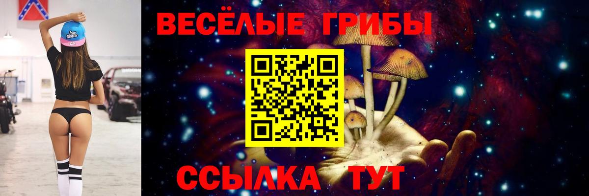 Галлюциногенные грибы Psilocybine cubensis  Вход с VPN  Белая Калитва 